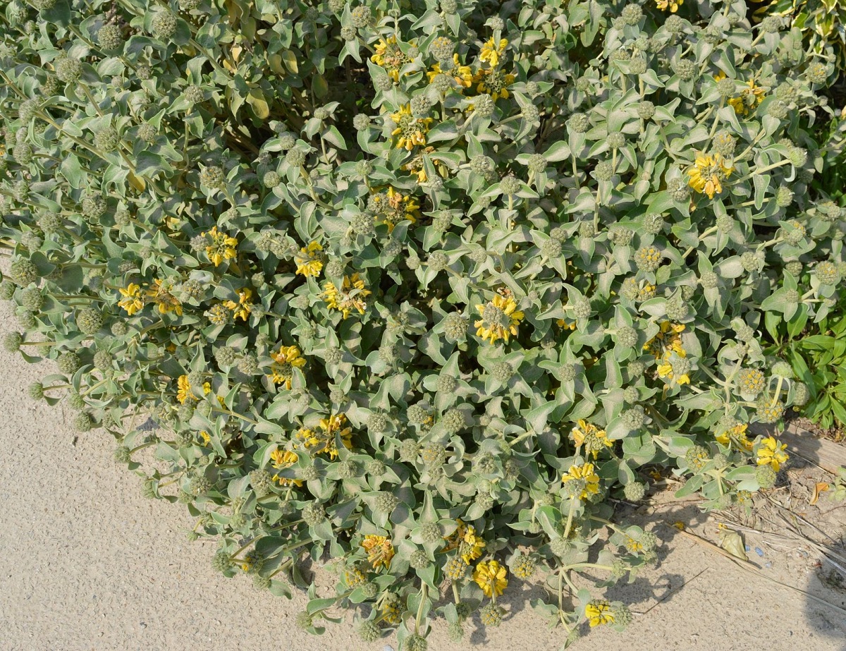 Annexe DSC_60922.jpg