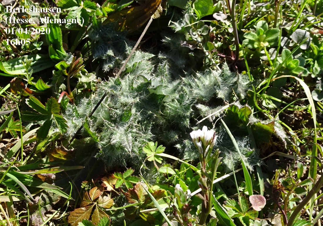 Annexe 1-Duvet-JLP.JPG