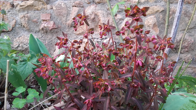 Annexe 20150101_013933.png