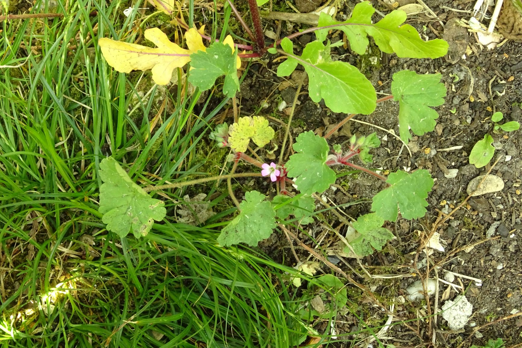 Annexe Vue densemble.JPG