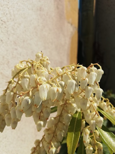 Annexe IMG_20200402_134250.jpg