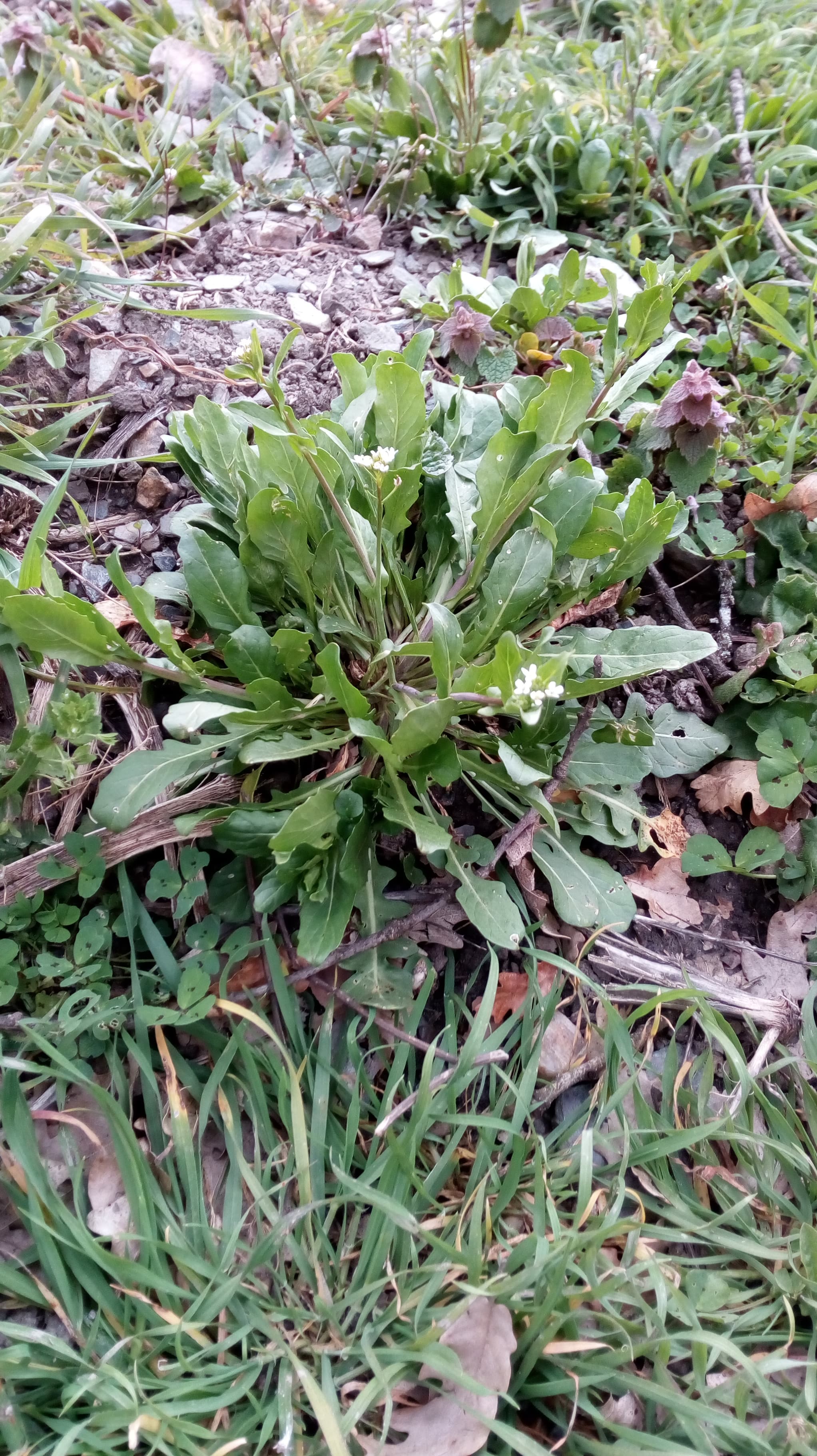 Annexe 91454849_1386286754906463_5618214284304580608_n.jpg