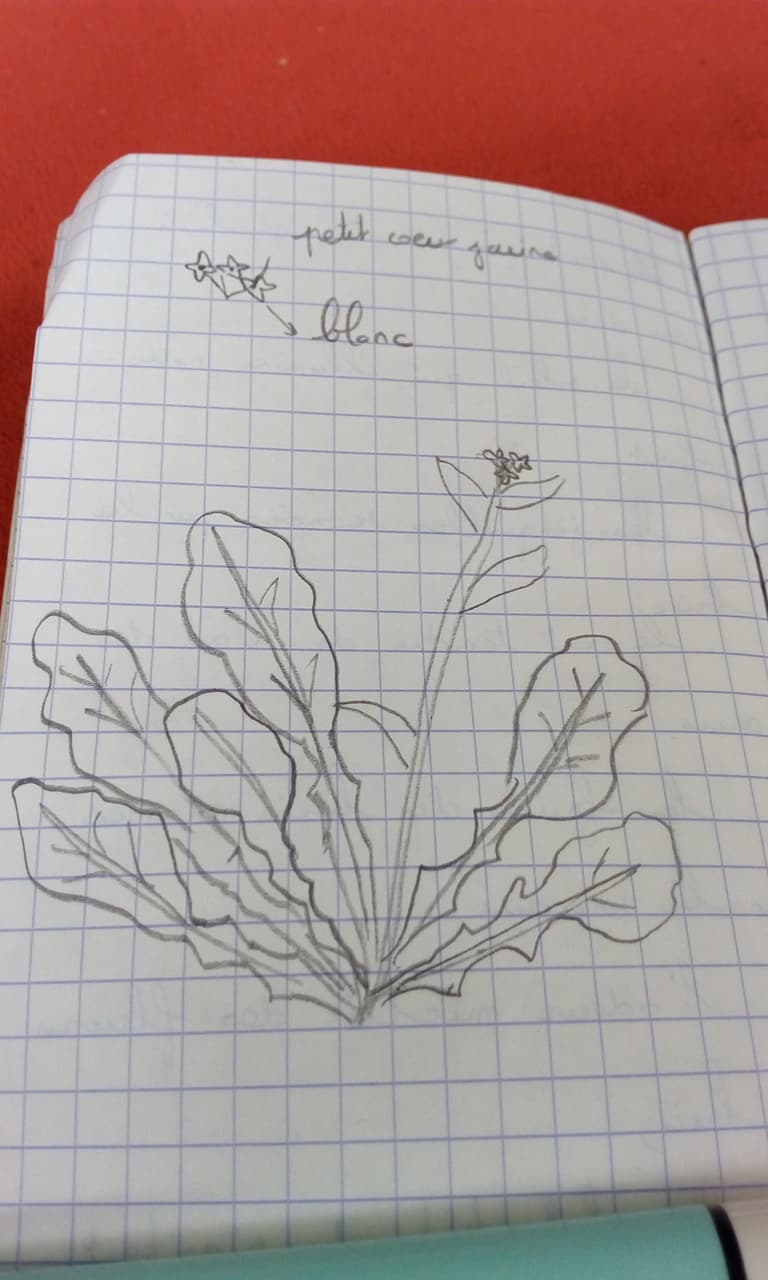 Annexe 91566858_624104938169316_5618852958826397696_n.jpg