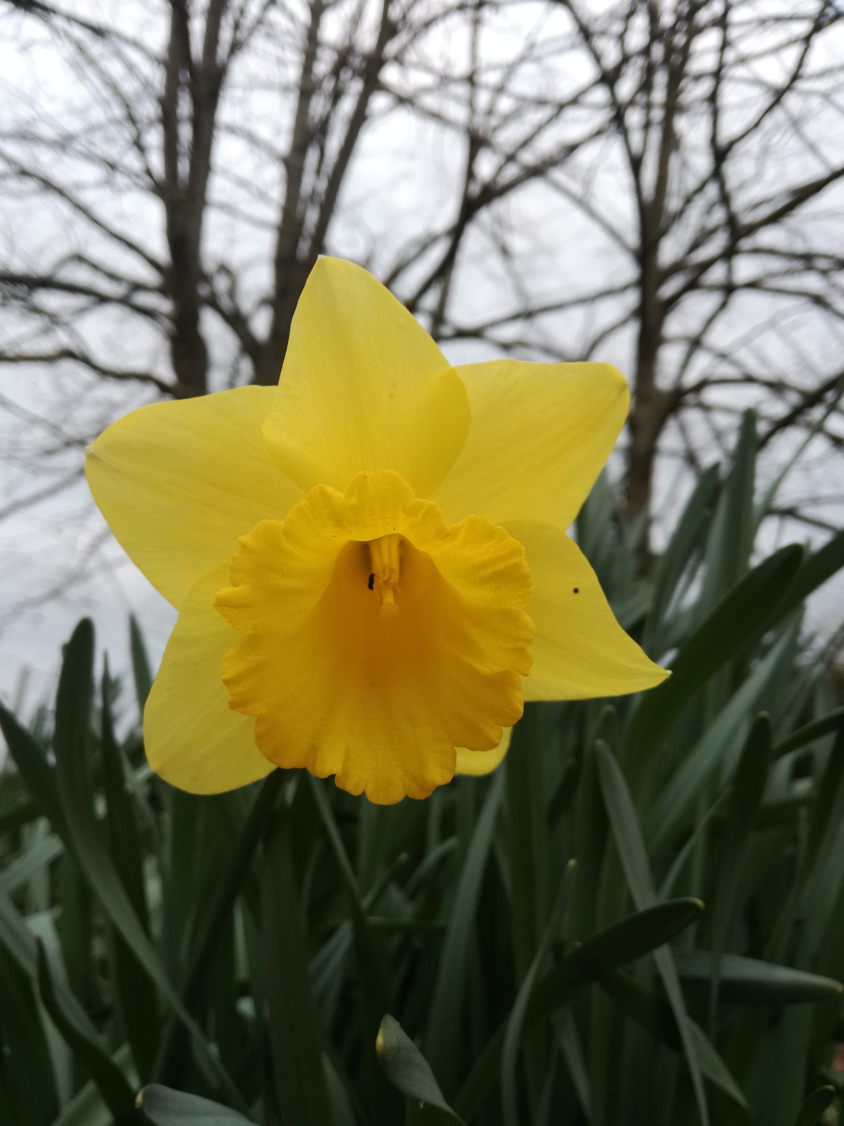 Annexe 91725781_1448558128655273_2599147047412039680_n.jpg