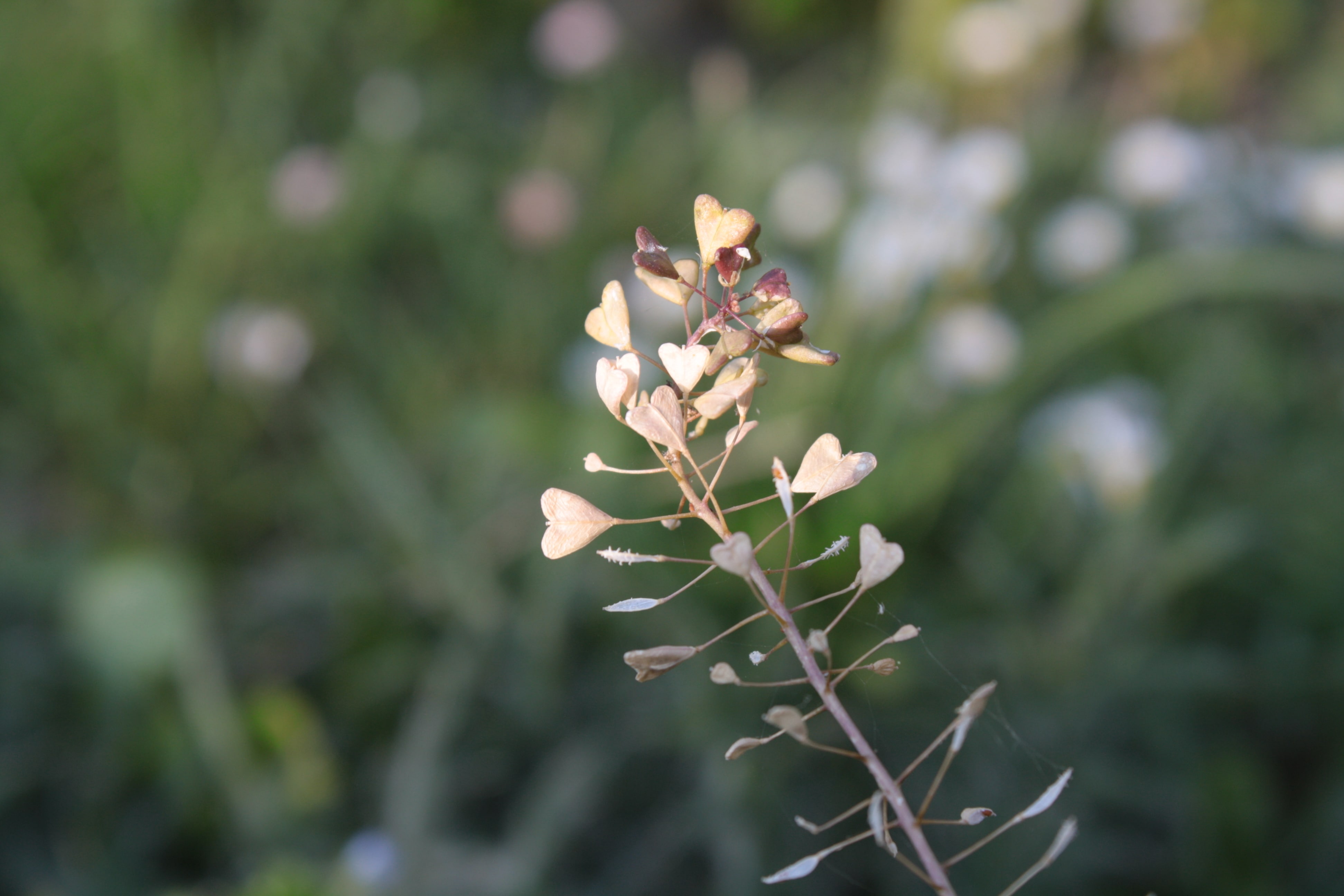 Annexe 02-IMG_0520-min.JPG