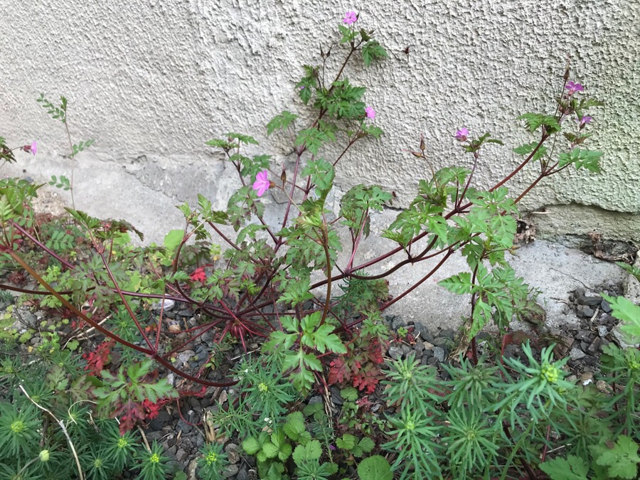 Annexe D9302602-DCB0-4C5D-B0E9-95F47502BFBE.jpeg