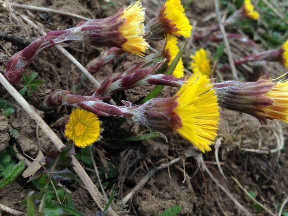 Annexe IMG_0740-1.JPG