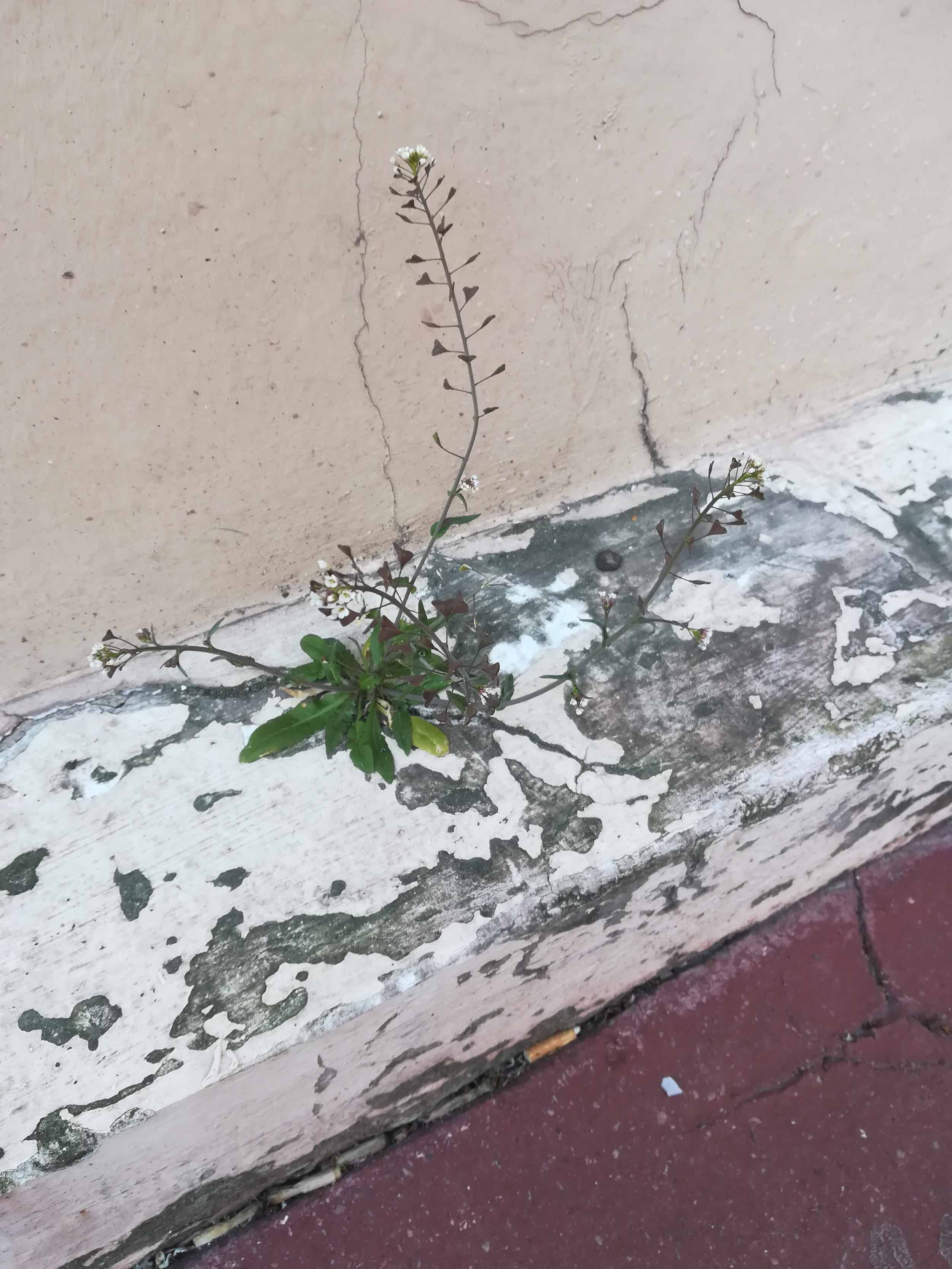 Annexe IMG_0083.jpeg