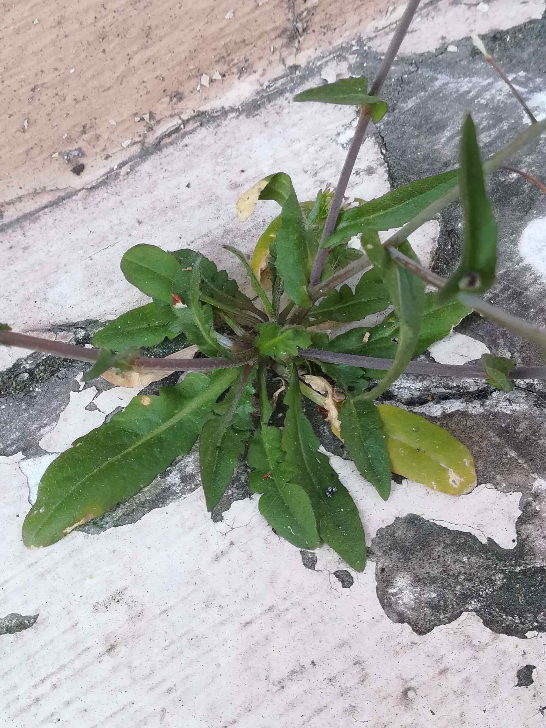 Annexe IMG_0089.jpeg