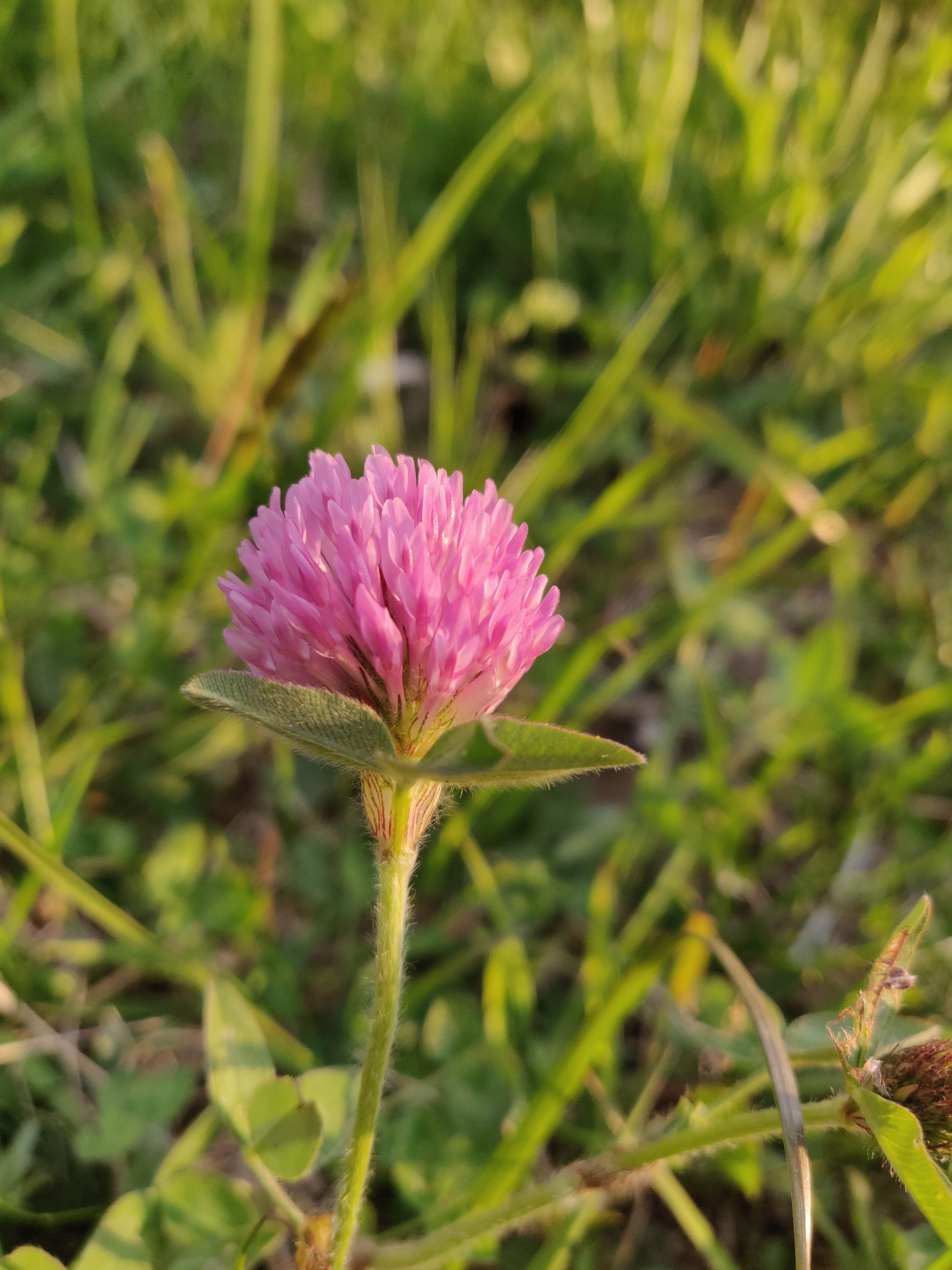 Annexe IMG_20200402_192558-min.jpg