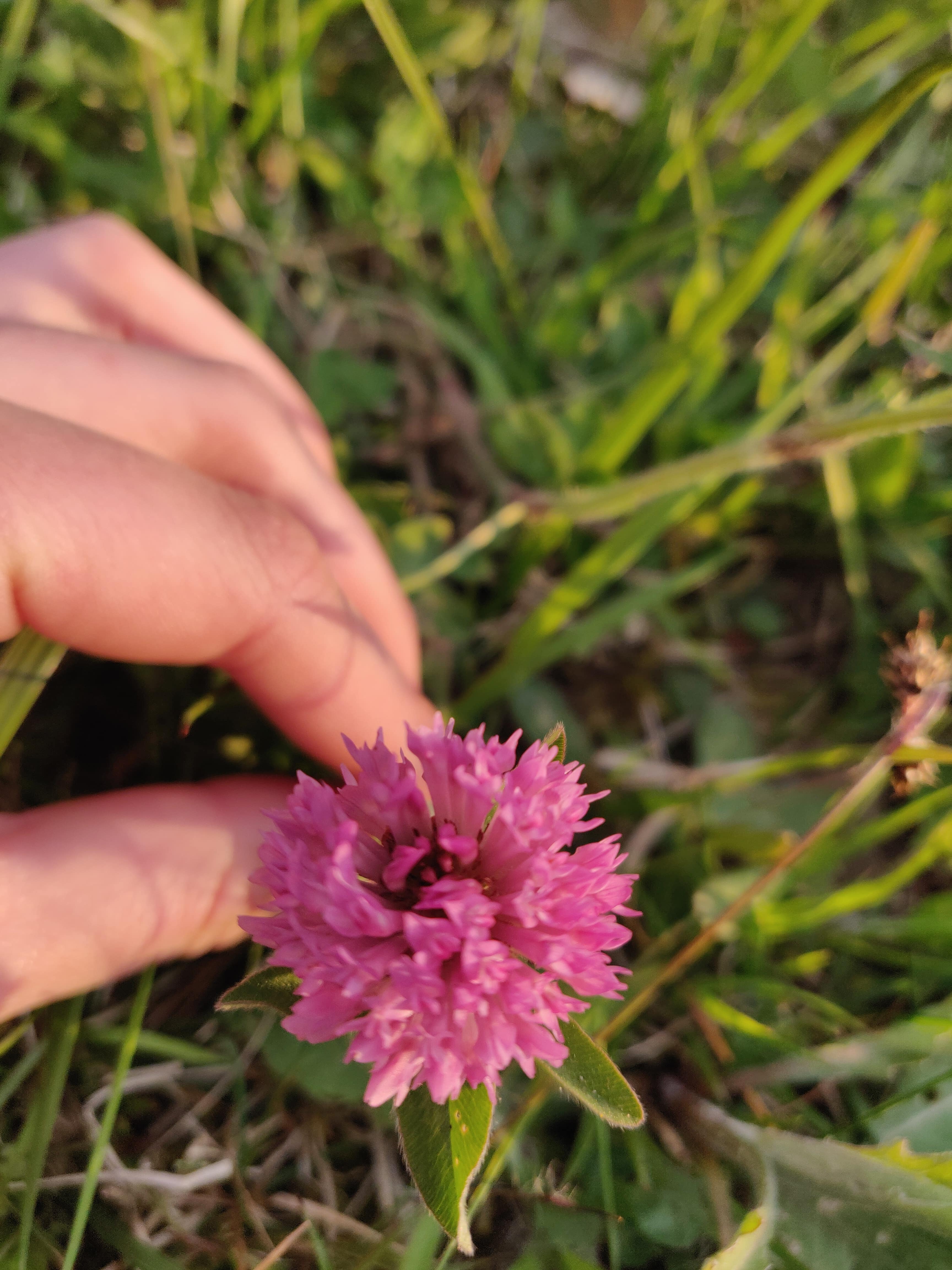 Annexe IMG_20200402_192603-min.jpg