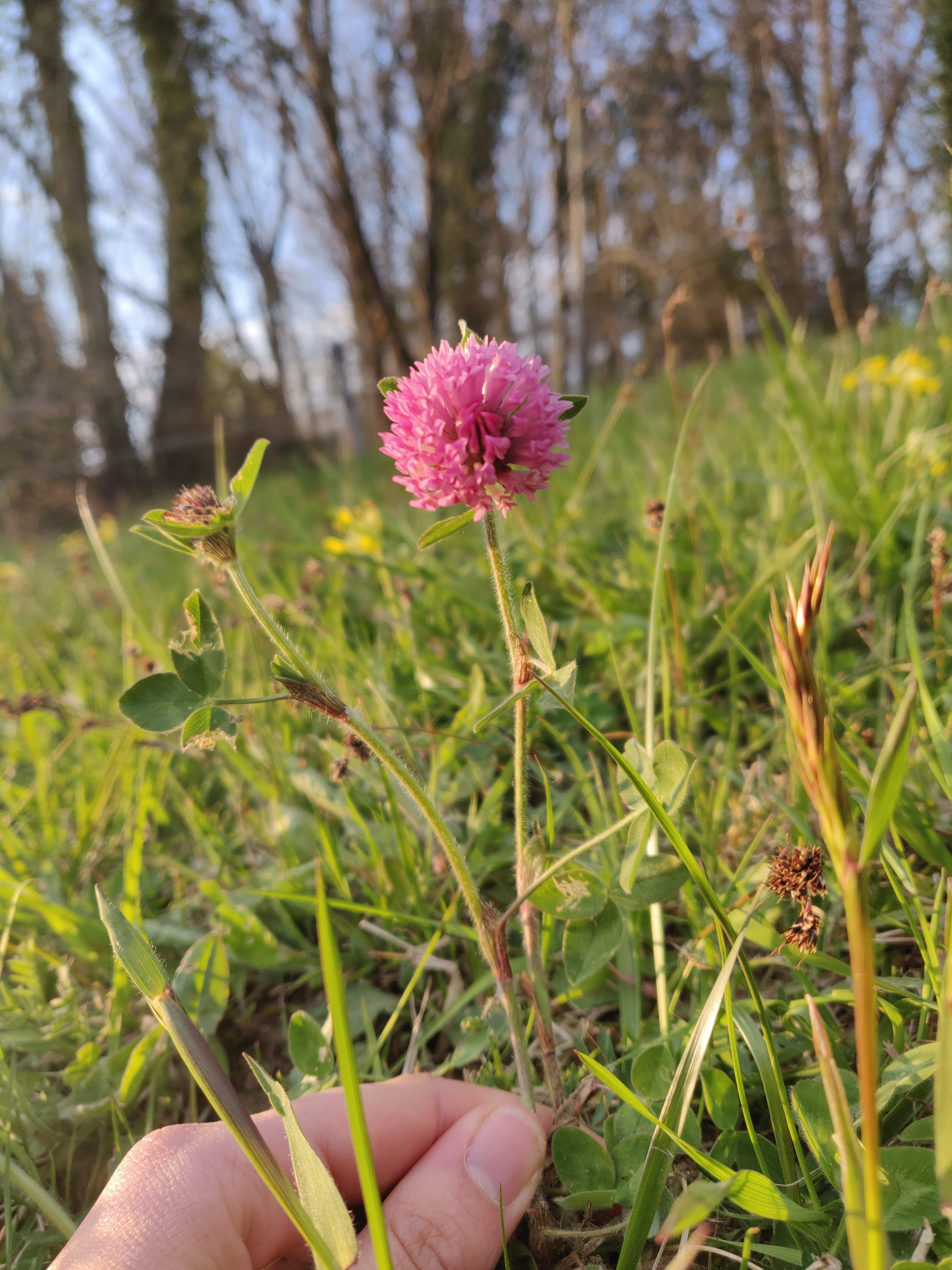 Annexe IMG_20200402_192639-min.jpg