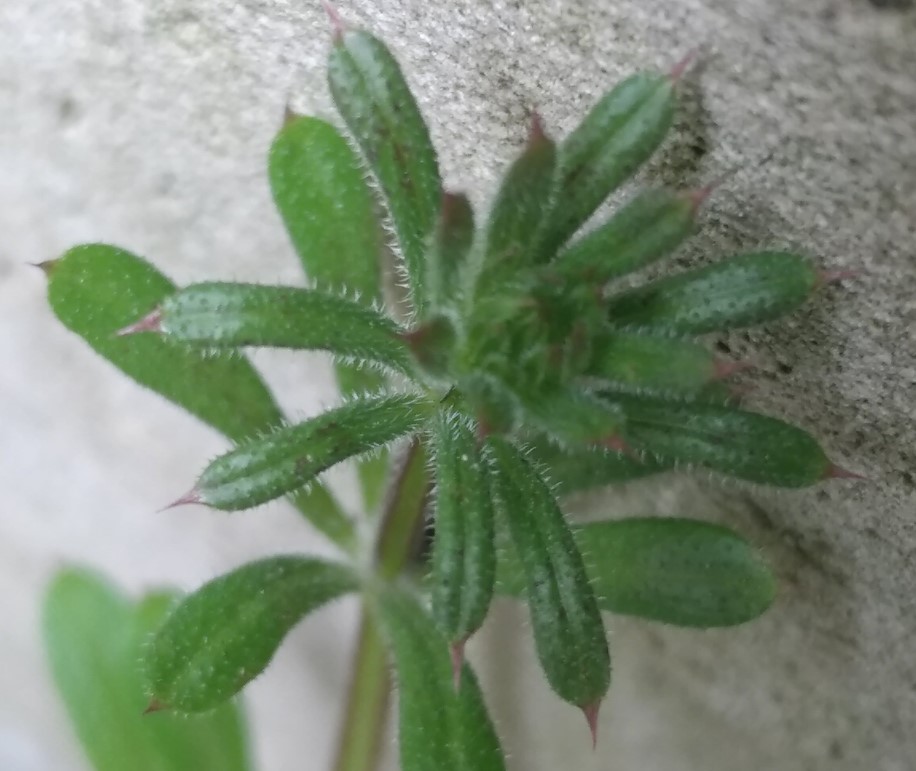 Annexe Annotation 2020-04-03 124827.jpg