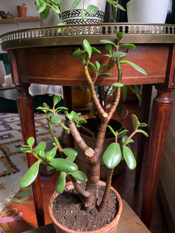 Annexe Capture d’écran 2020-04-03 à 13.05.29.png