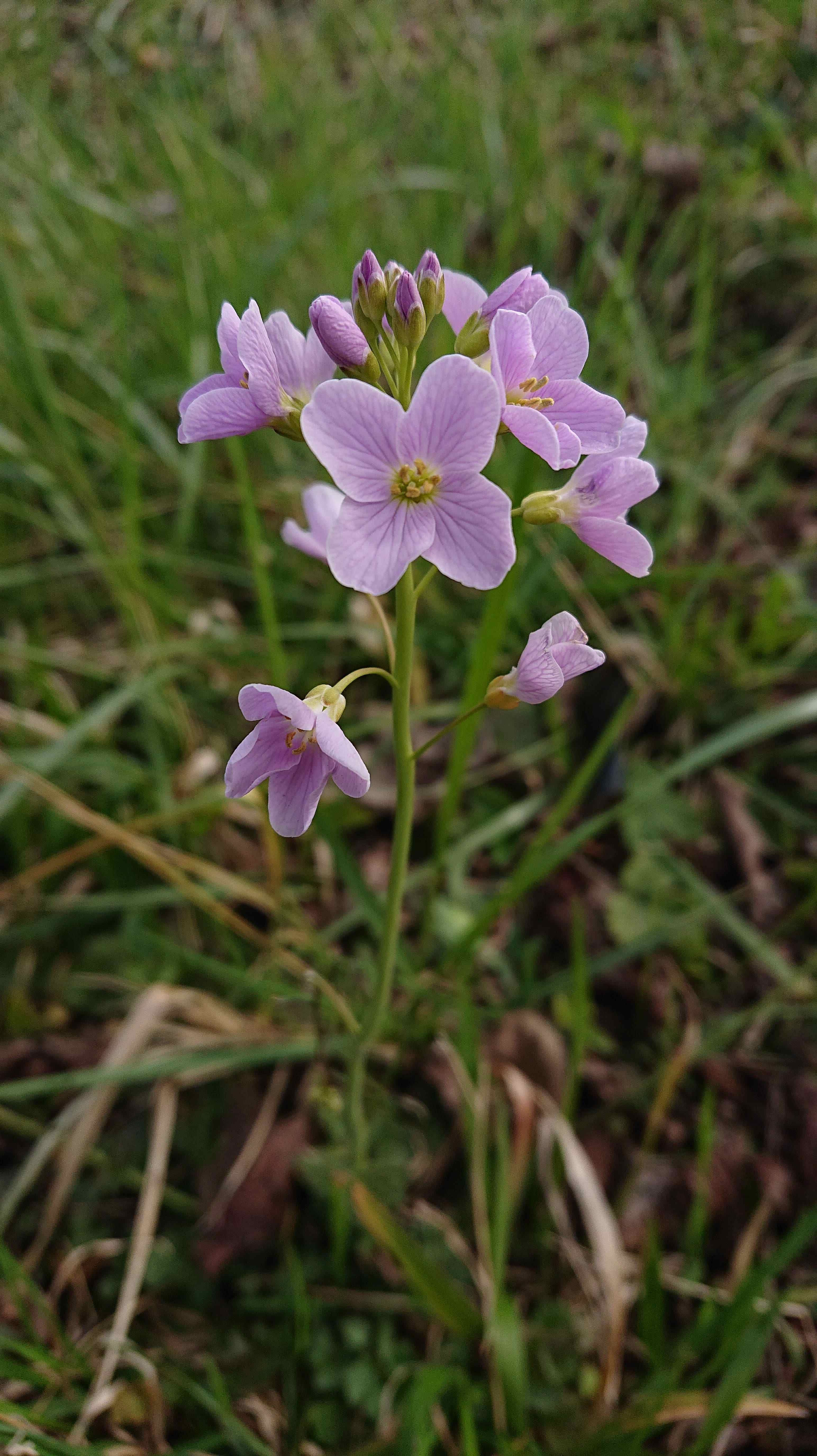 Annexe imageonline-co-compressed(1).jpg