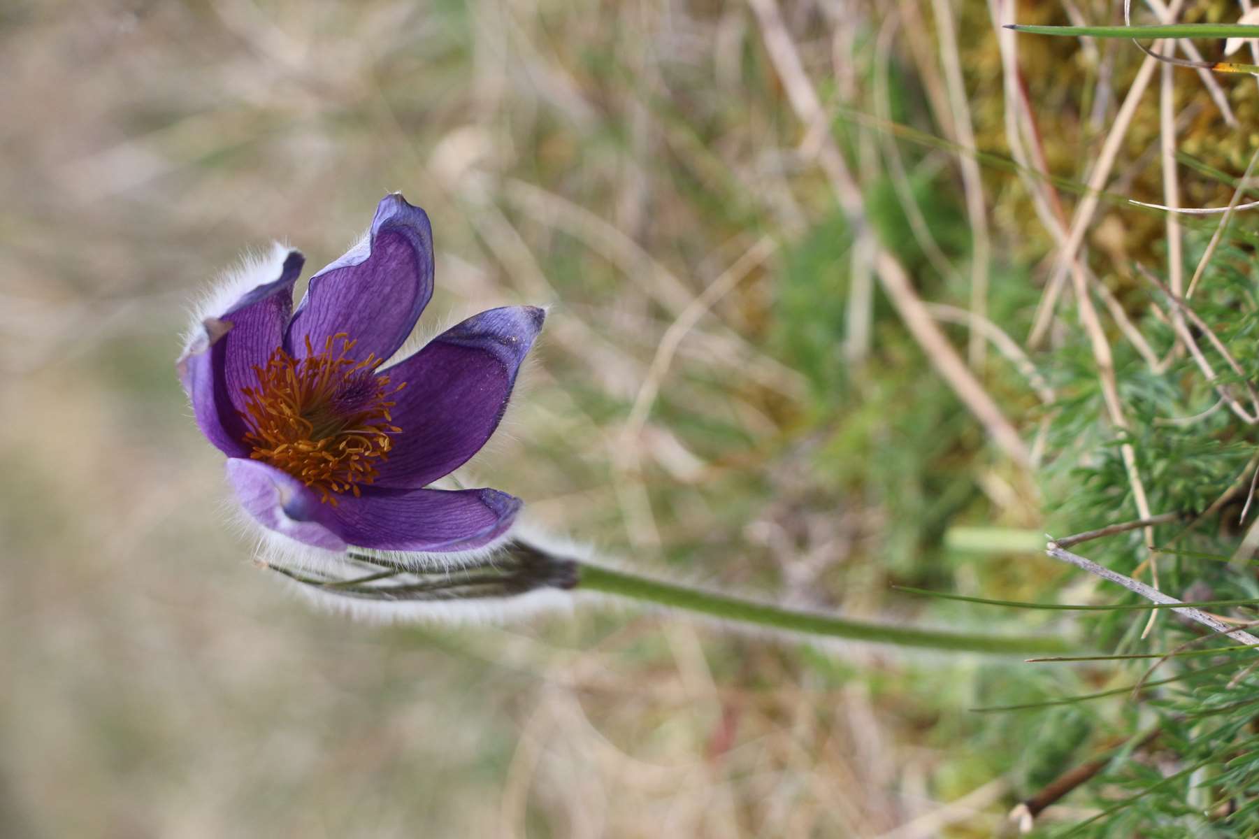 Annexe Vue de face.jpg