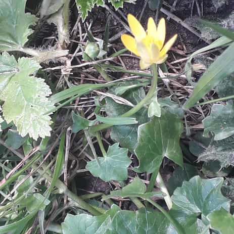 Annexe ensemble2-resizeimage.jpg