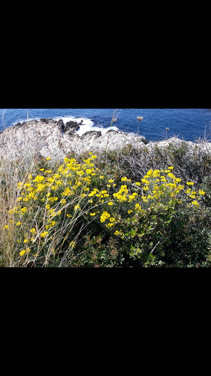 Annexe Screenshot_20200403-161203_Gallery.jpg