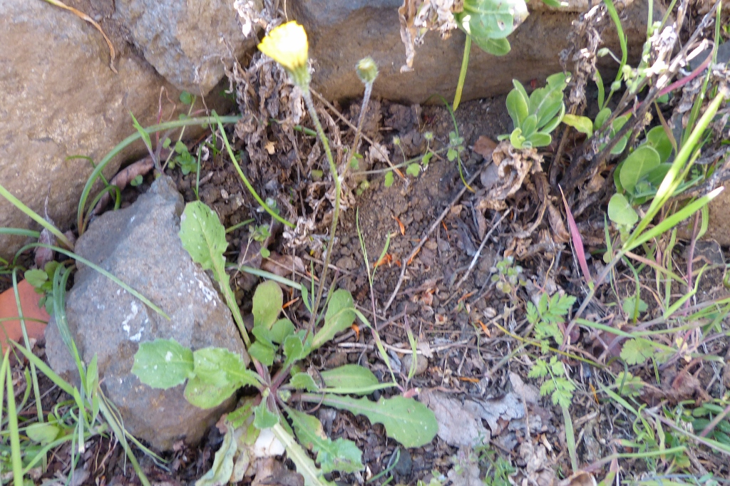 Annexe P1260872r (1024x682).jpg