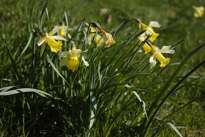 Annexe jon-groupe.jpg
