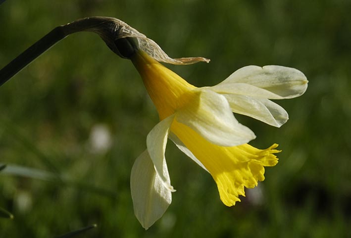 Annexe jon-profil.jpg