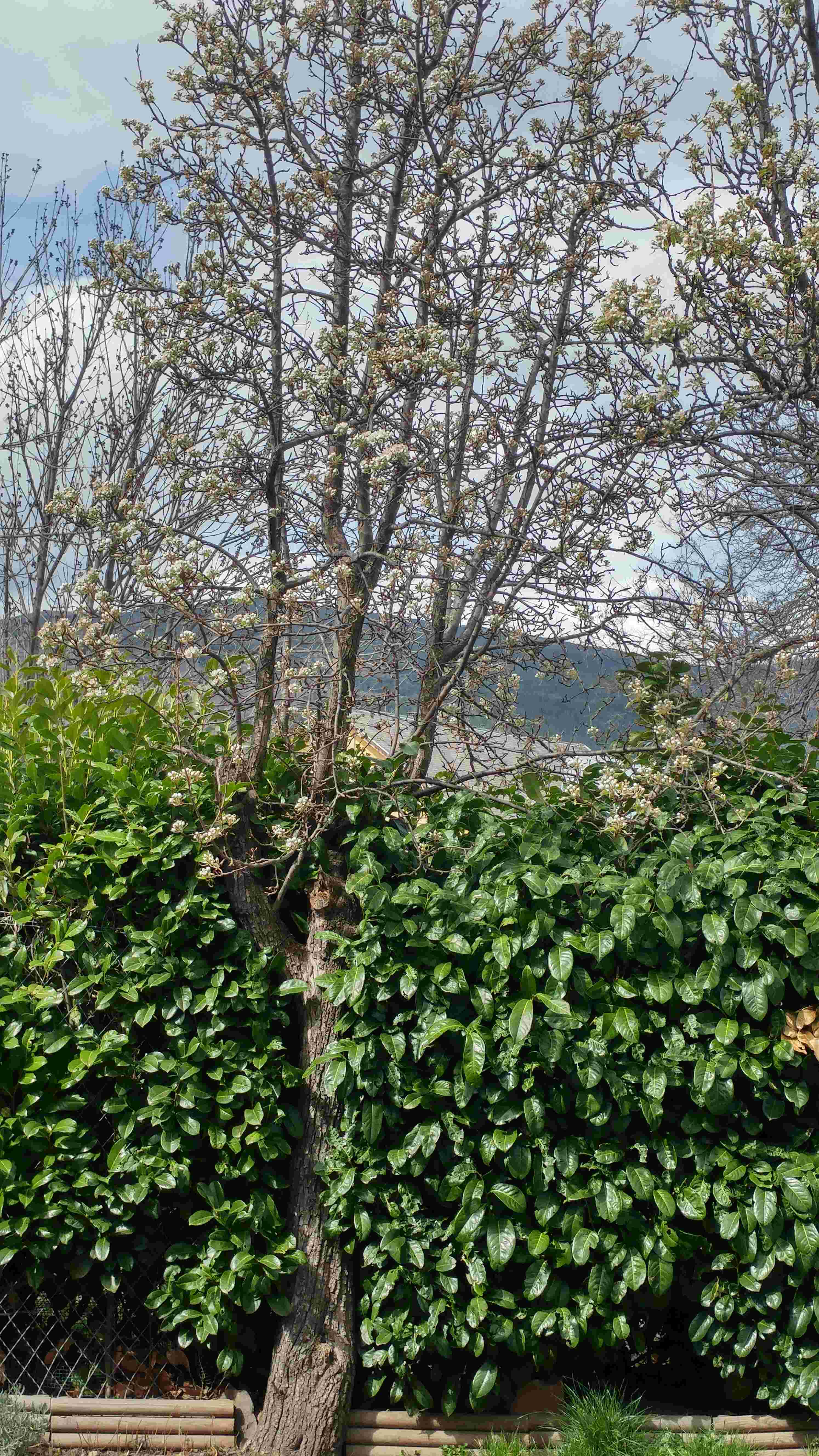 Annexe en entier.jpg