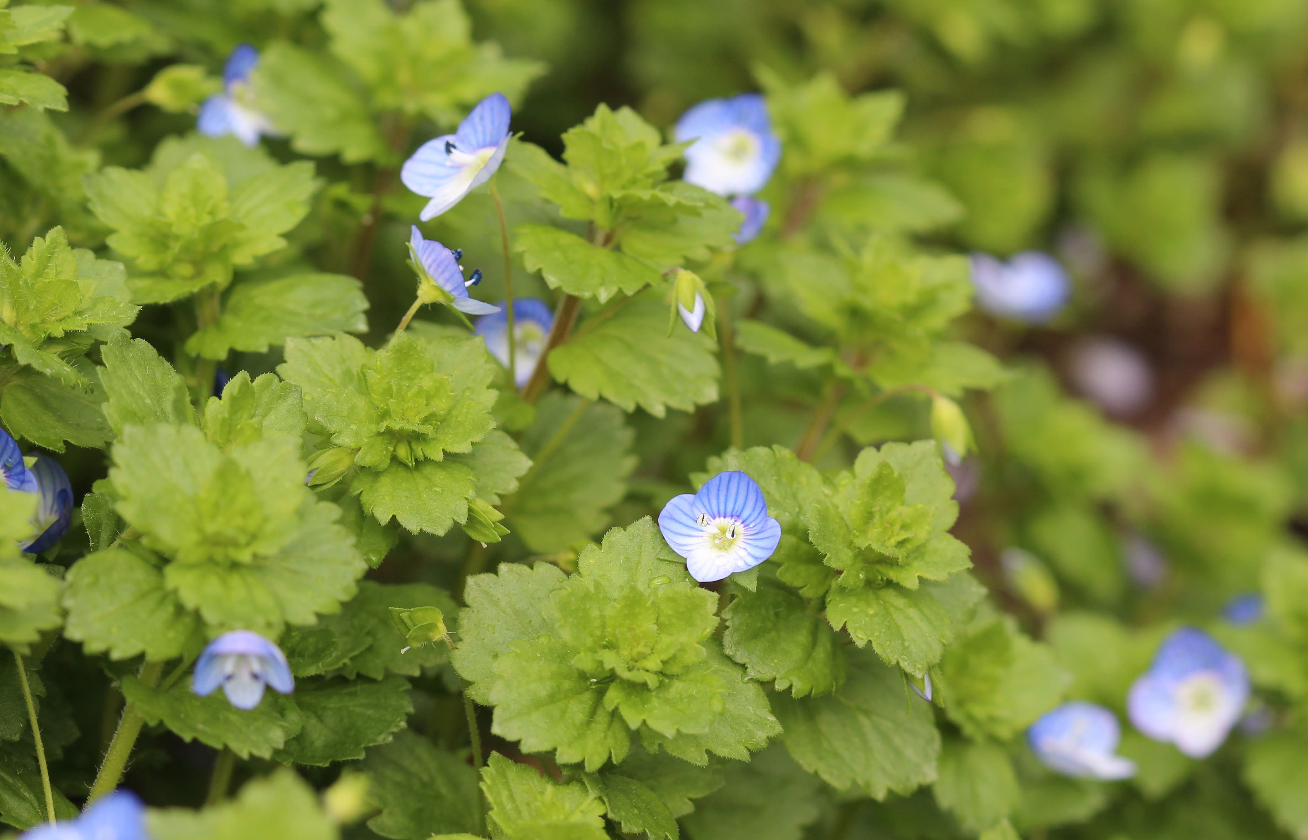 Annexe img_002352379O.jpg