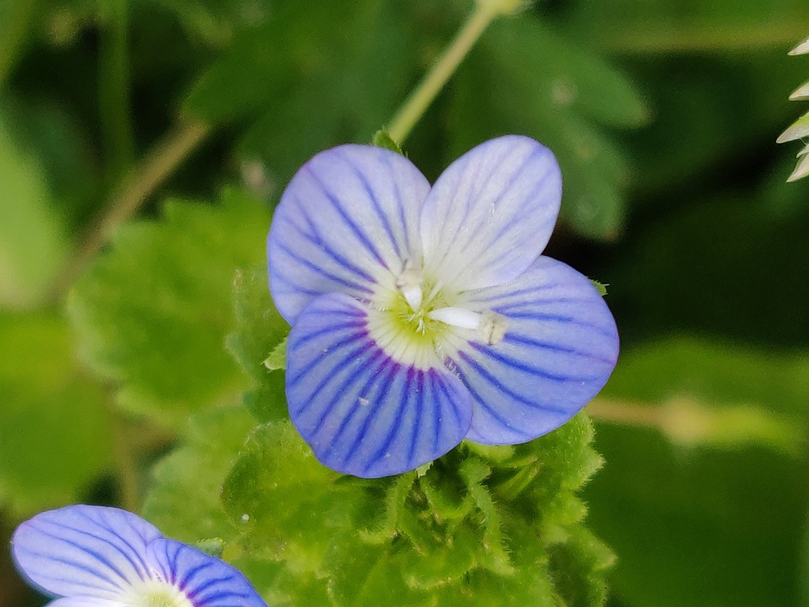 Annexe img_002354102O.jpg