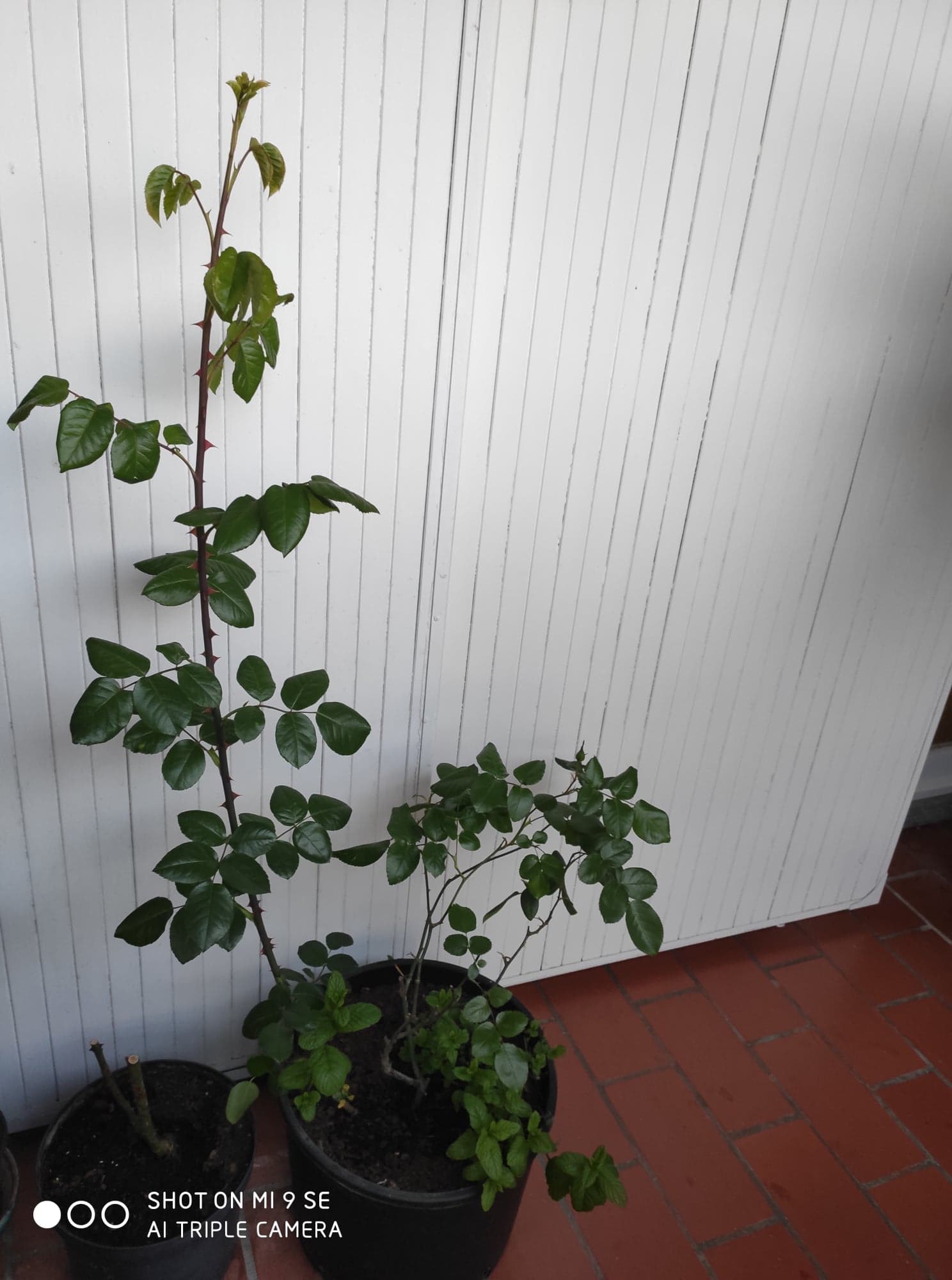 Annexe 91775899_206446507326154_3845932682861084672_n.jpg