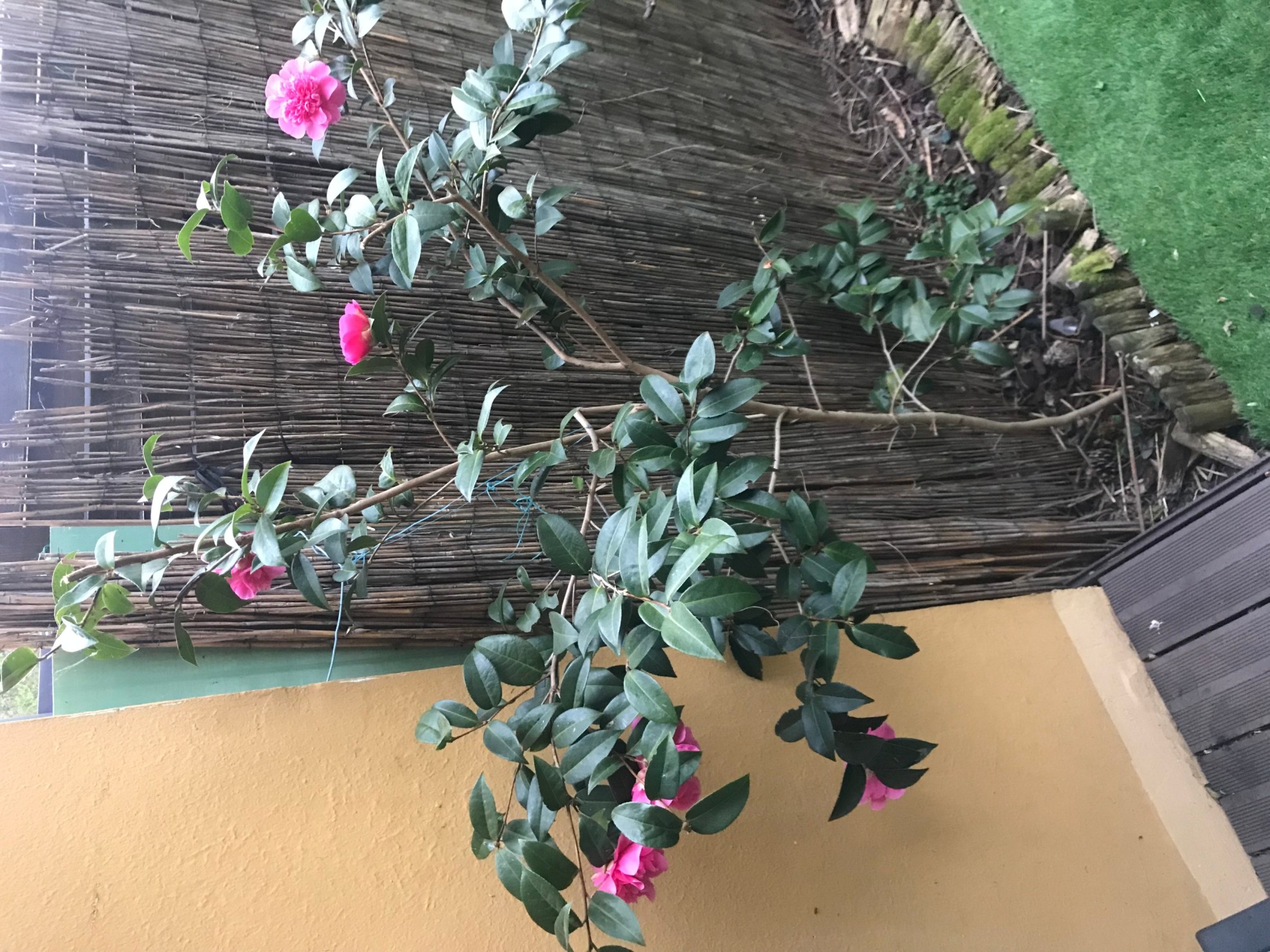 Annexe IMG_0428 (1) (1).jpg