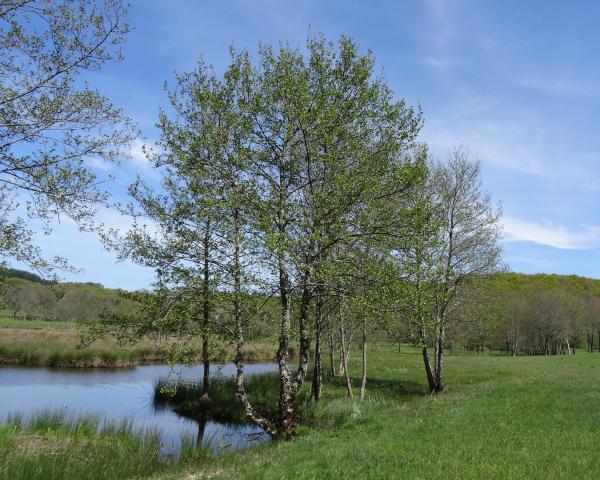 Annexe img_002335904L.jpg