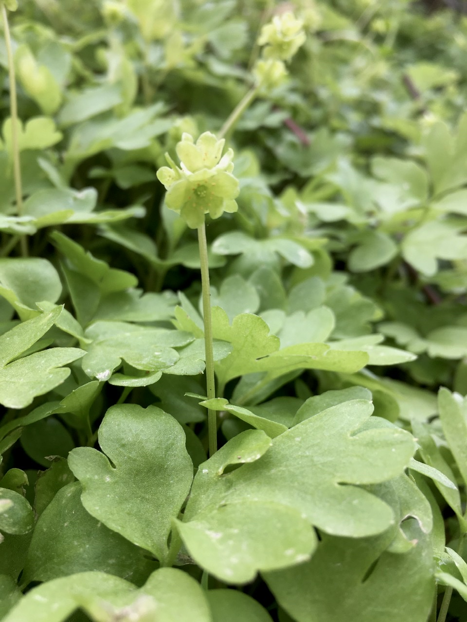 Annexe C80F8557-5704-4C65-83E9-FD0F511574B6.jpeg