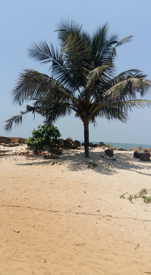 Annexe Vue densemble.jpg