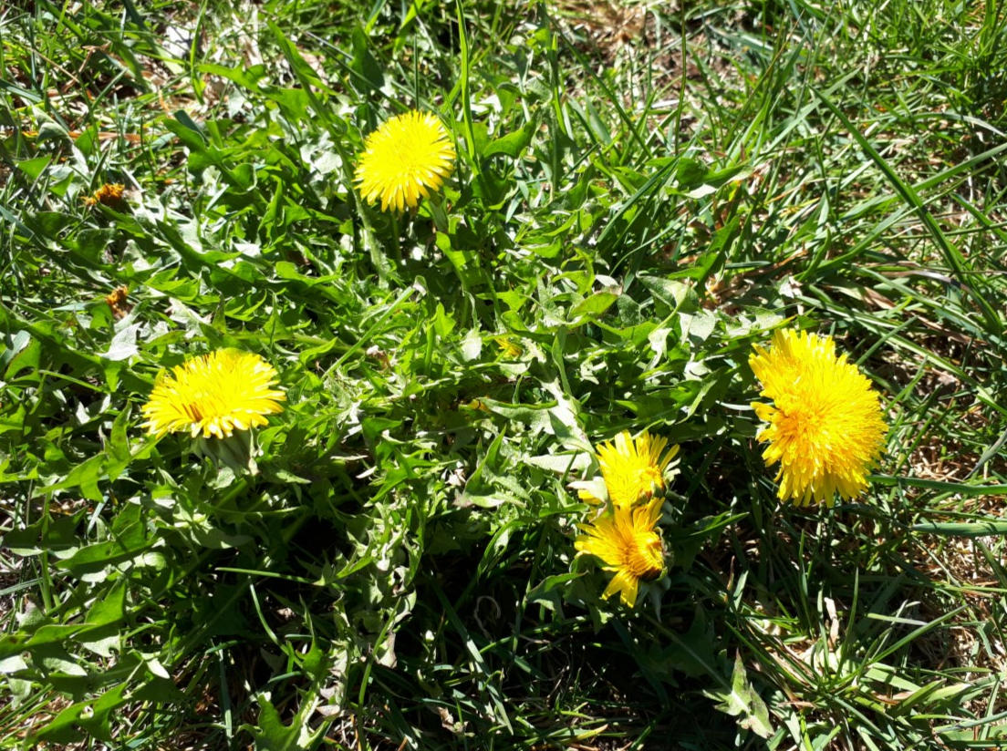 Annexe Vue générale