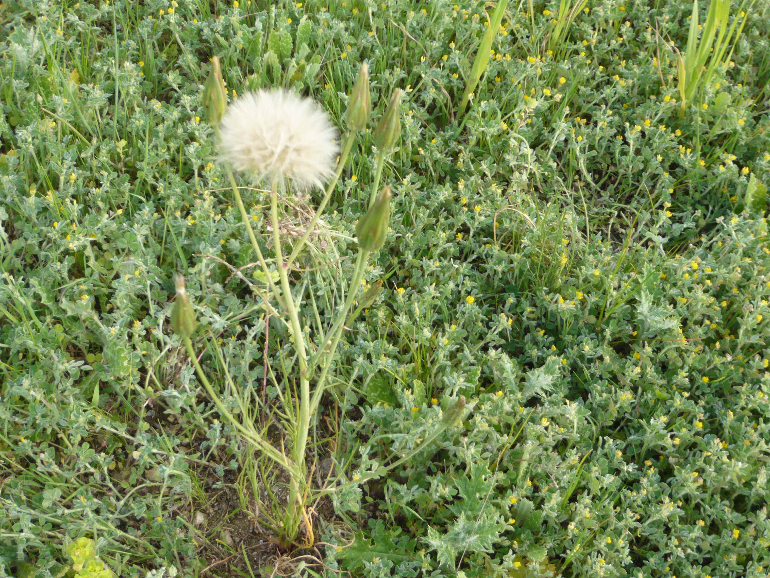 Annexe P1070084 2.jpg