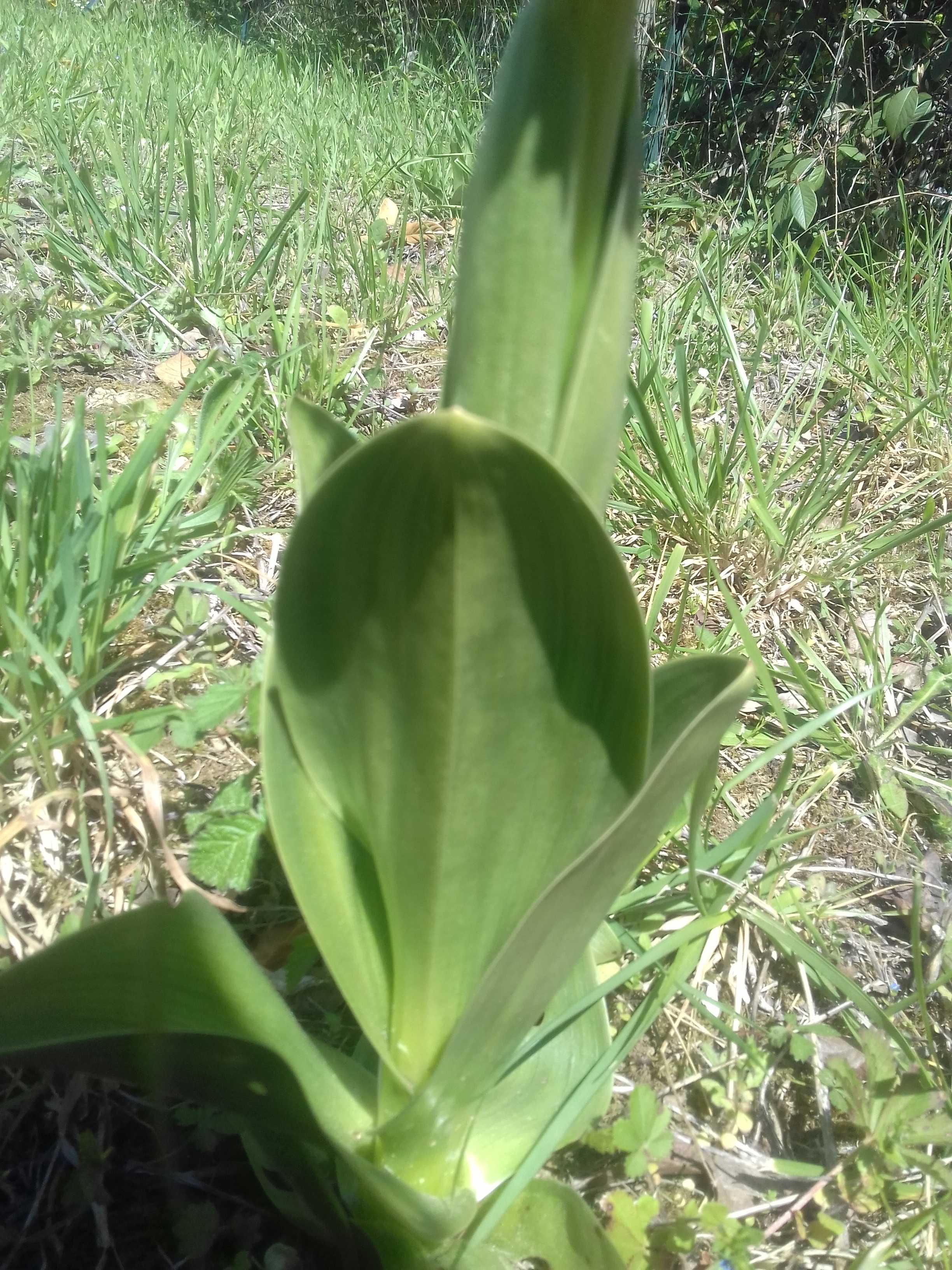 Annexe 20200404_145638.jpg