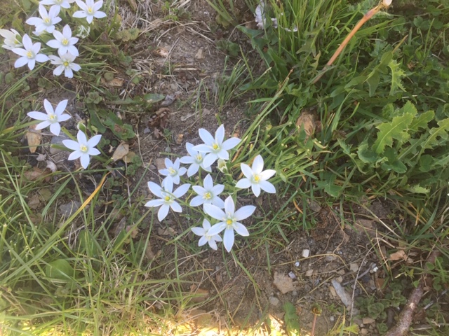 Annexe ensemble dame de 11H.JPG