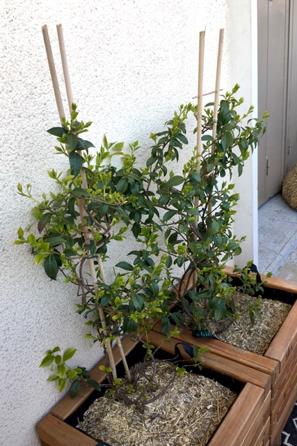 Annexe IMG_1934-1.jpg