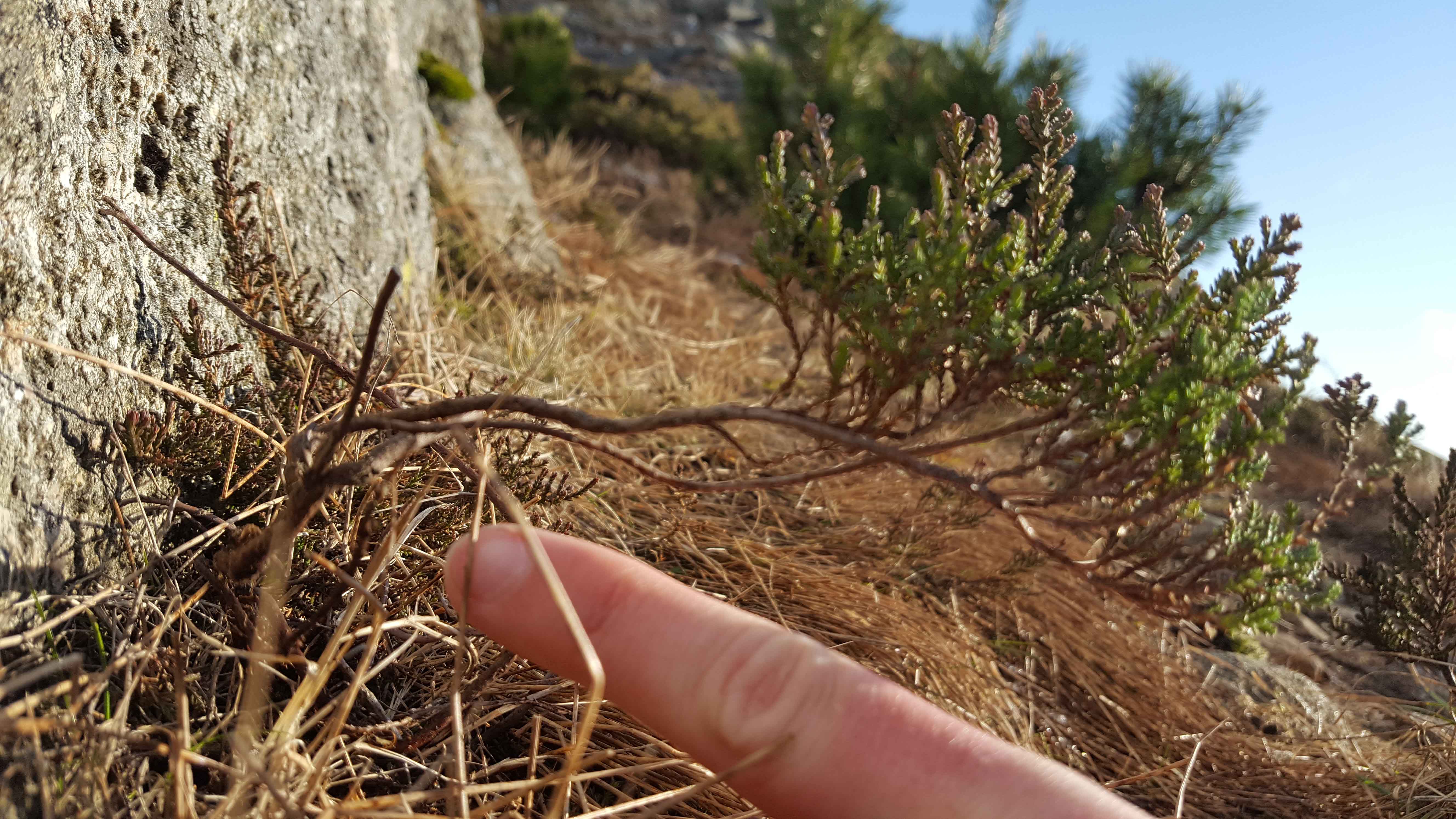 Annexe 20200328_171000.jpg