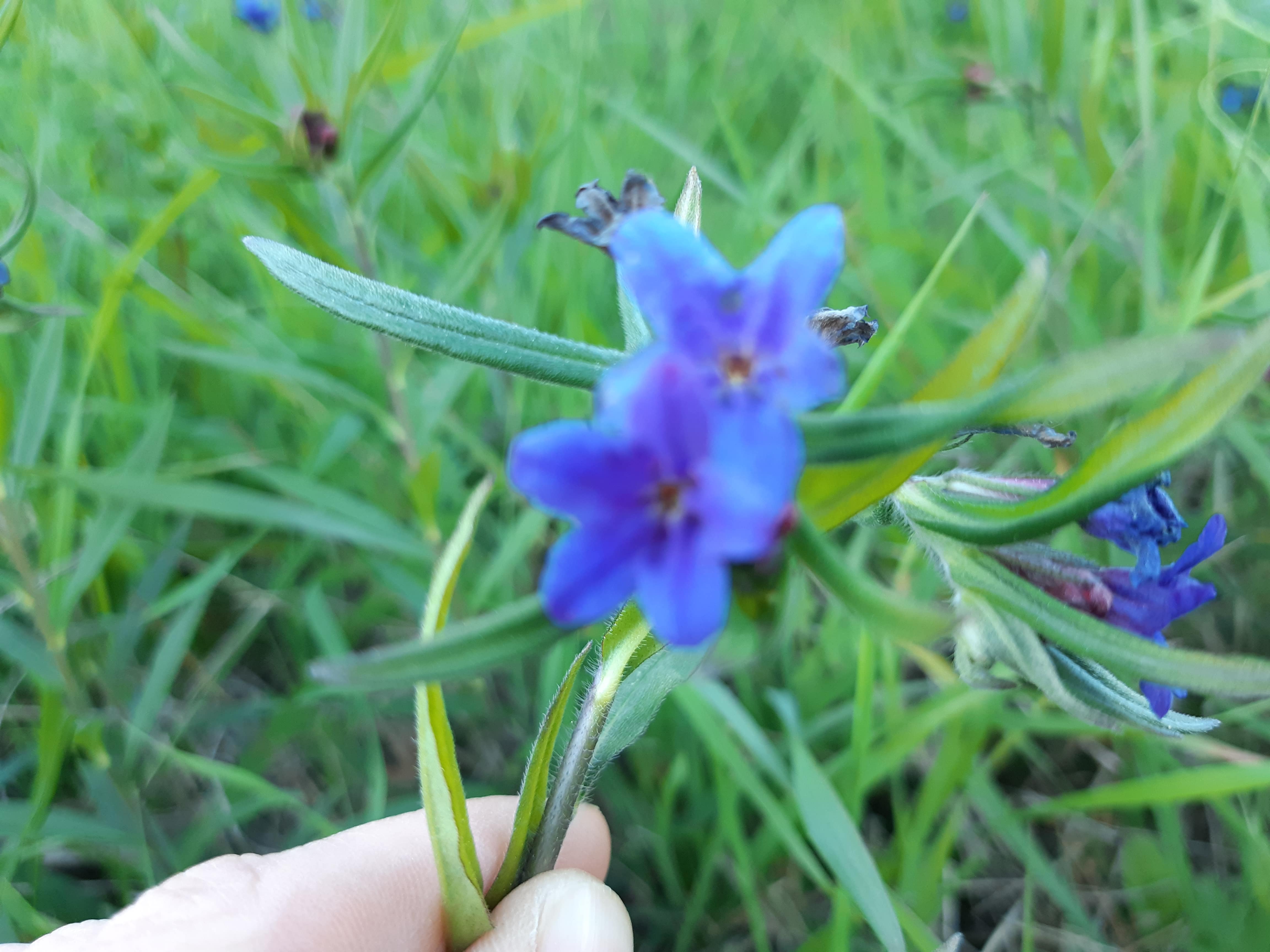 Annexe 20200403_190610-min.jpg