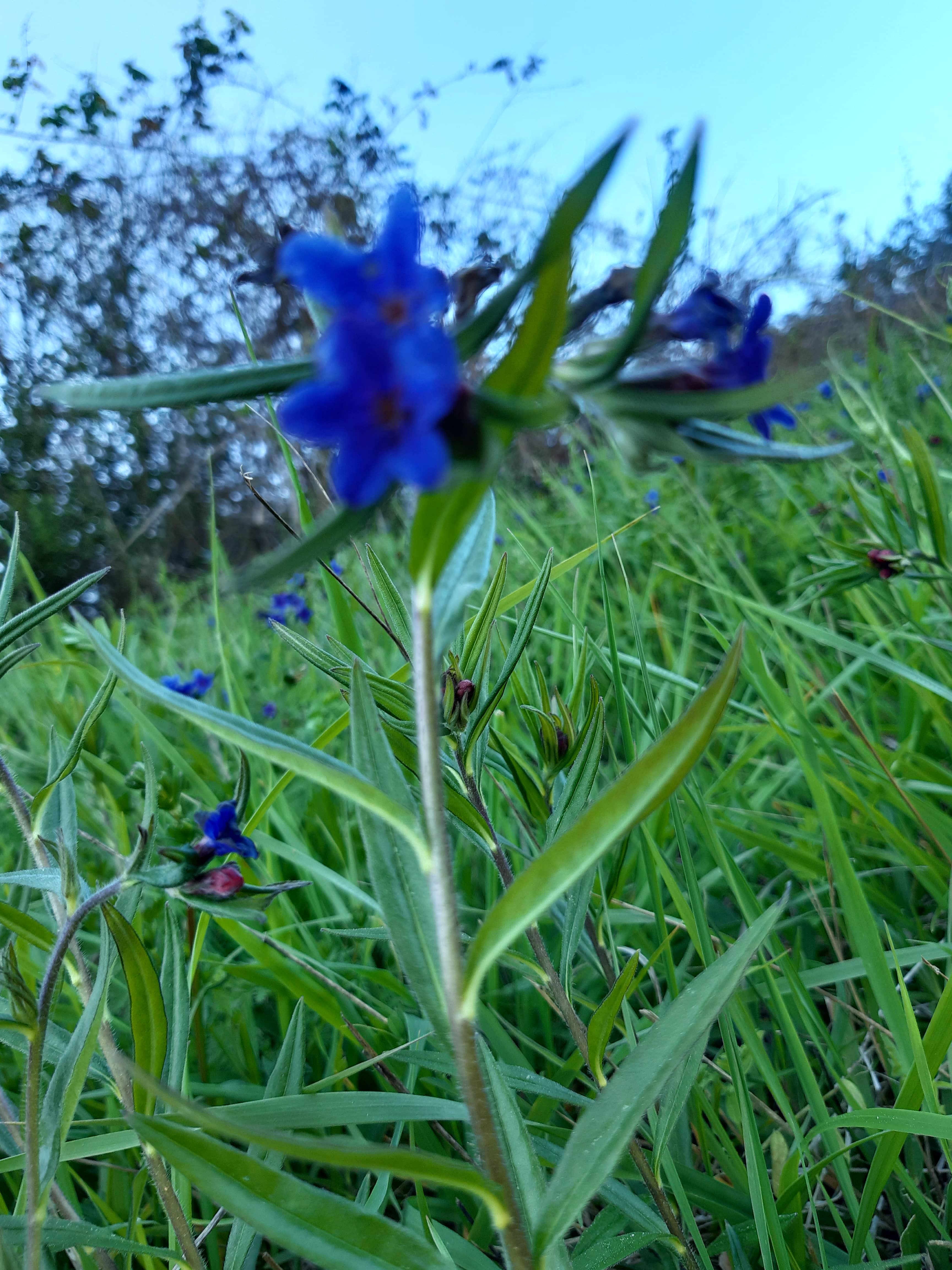 Annexe 20200403_190633-min.jpg