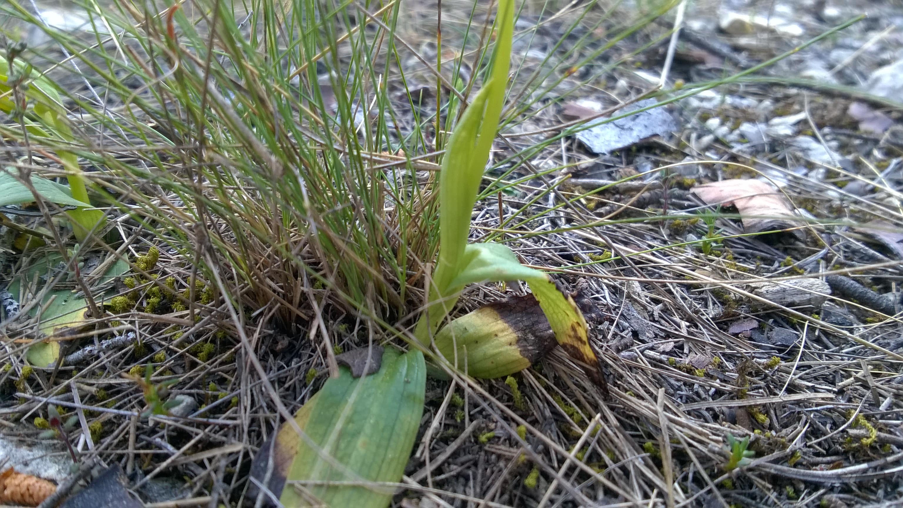 Annexe WP_20200405_134-min.jpg