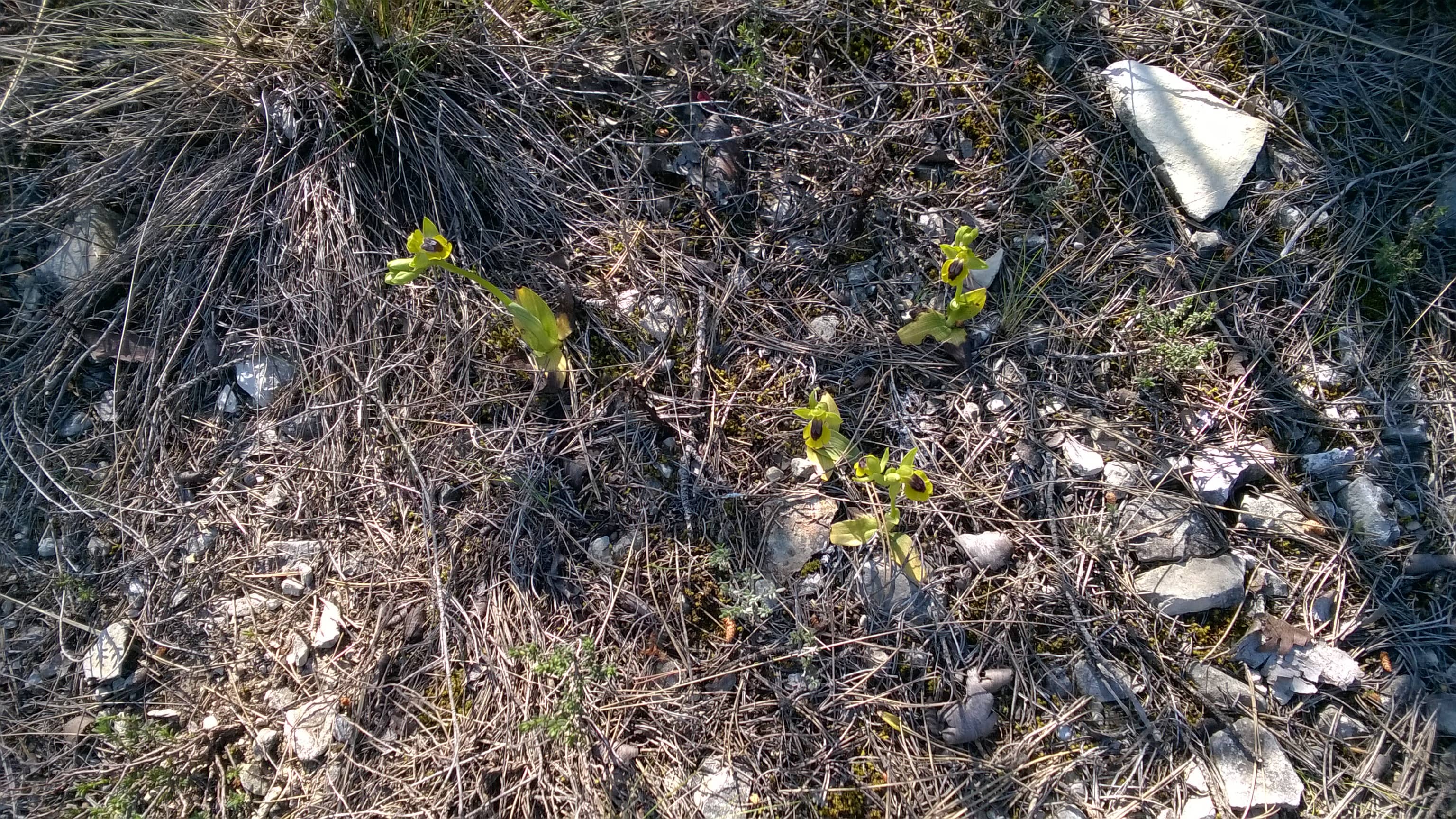 Annexe WP_20200405_136-min (1).jpg