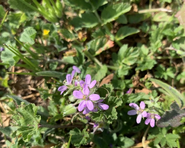 Annexe BA3994CE-E4EB-42DA-8944-E71AAD78832C.jpeg