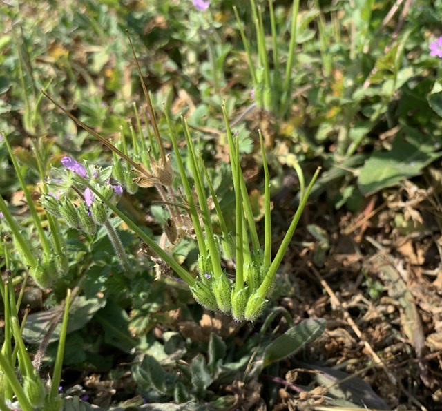 Annexe DE3C2474-BA93-4319-B52B-DA759BDC93A7.jpeg