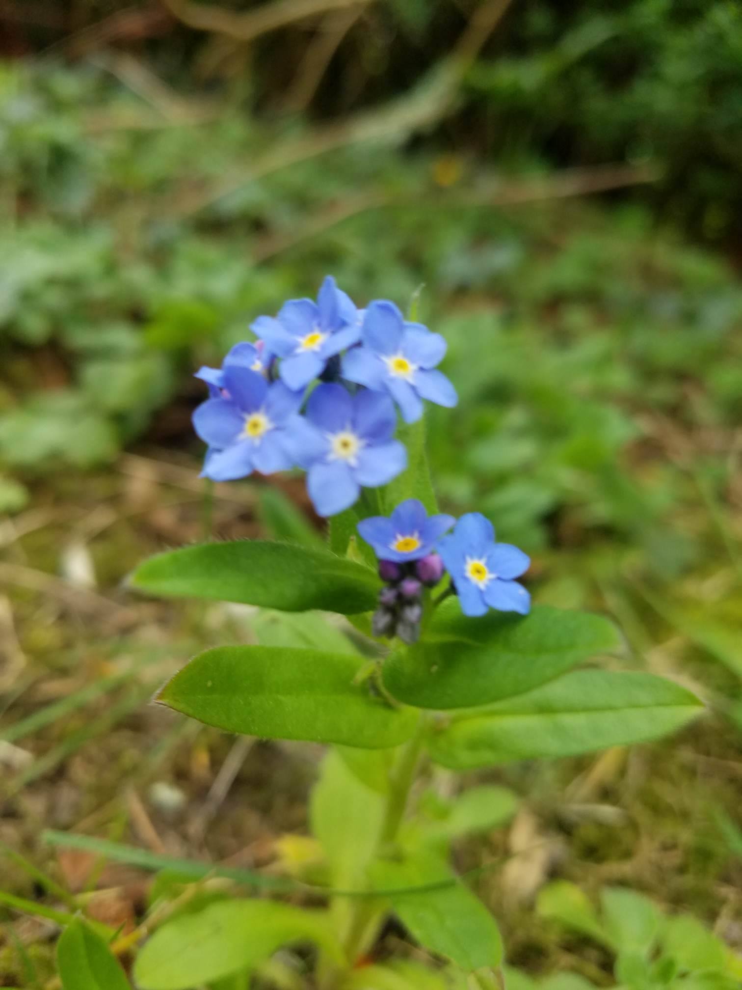 Annexe 92213961_255483162518997_6194789312802848768_n.jpg