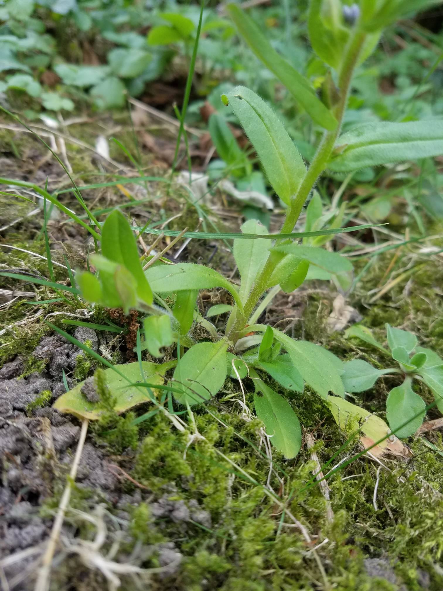 Annexe 92215321_158031005459134_2120791671795875840_n.jpg