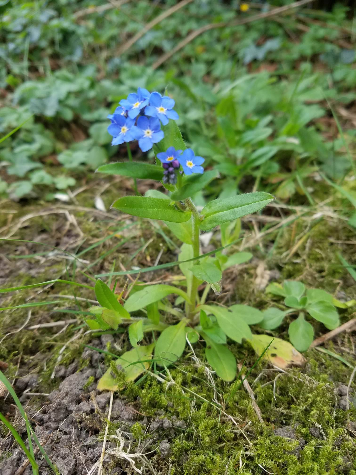 Annexe 92532761_535902227329728_9092724178297028608_n.jpg