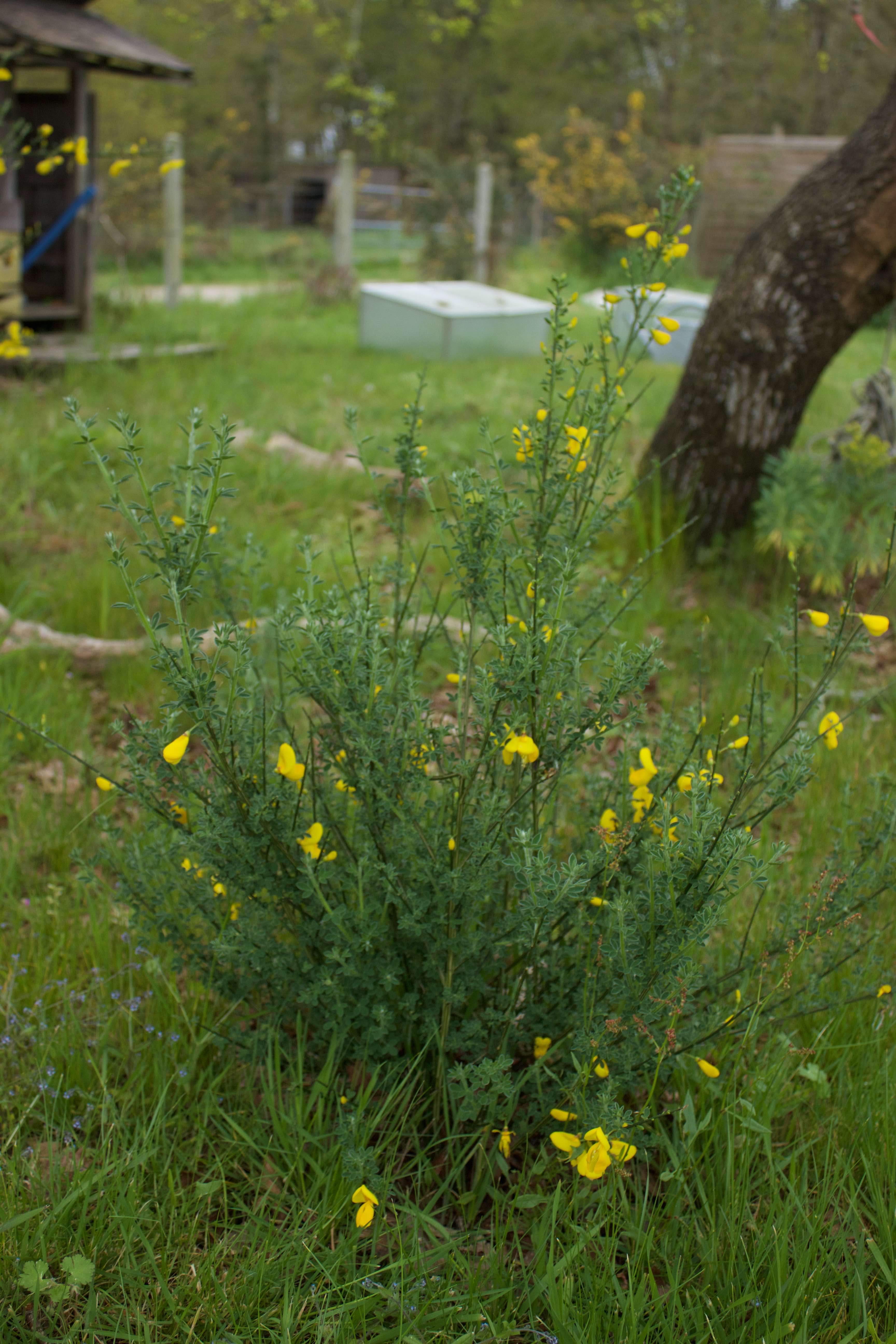 Annexe IMG_7549 - copie.jpg