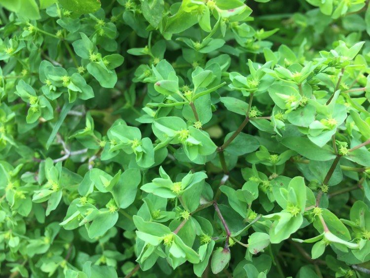 Annexe 92615672_262159834809818_62428934490292224_n.jpg